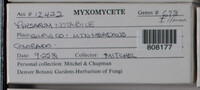 Image Associated With the Occurence